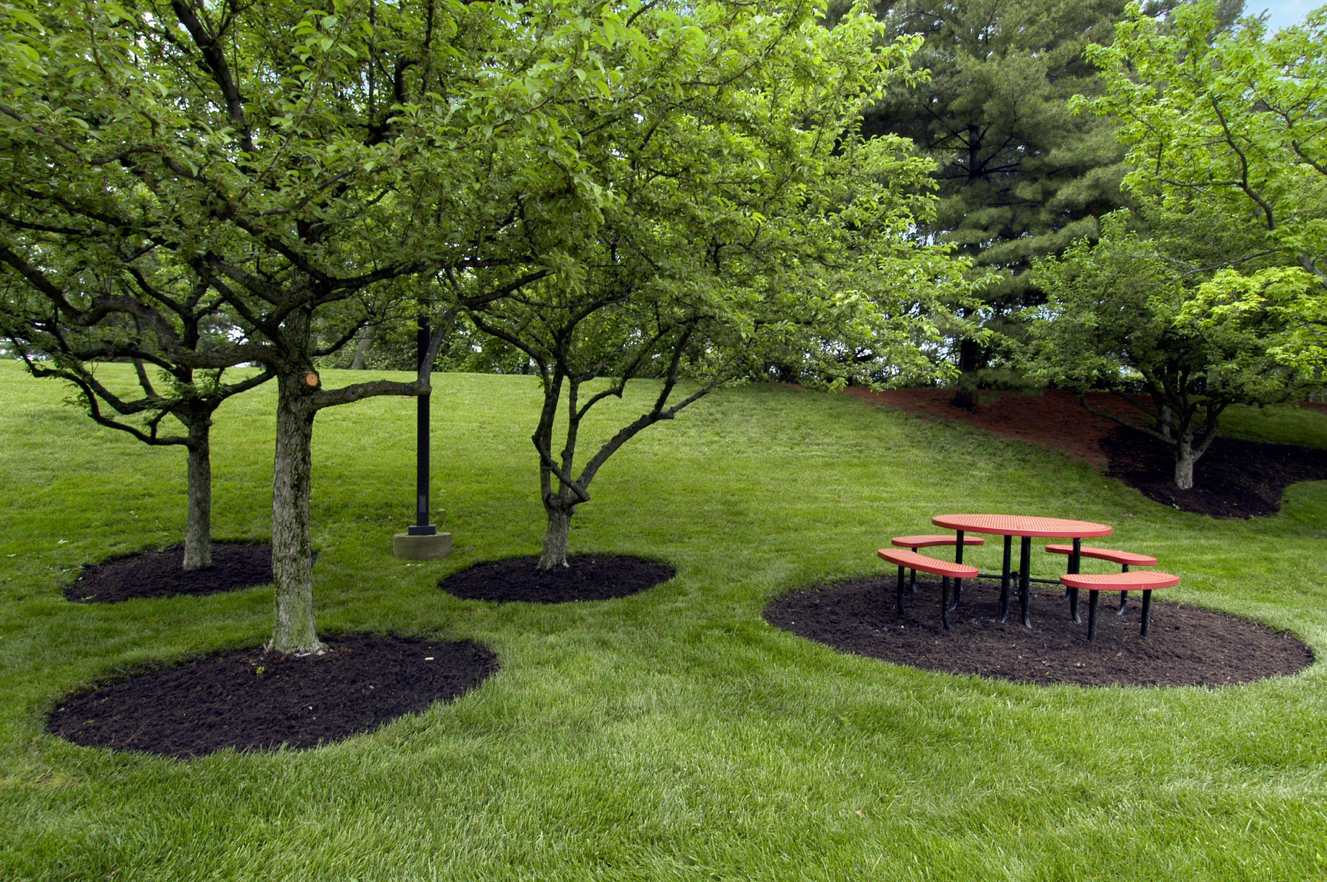 Red Roof Inn Cincinnati Northeast - Блу Аш Экстерьер фото