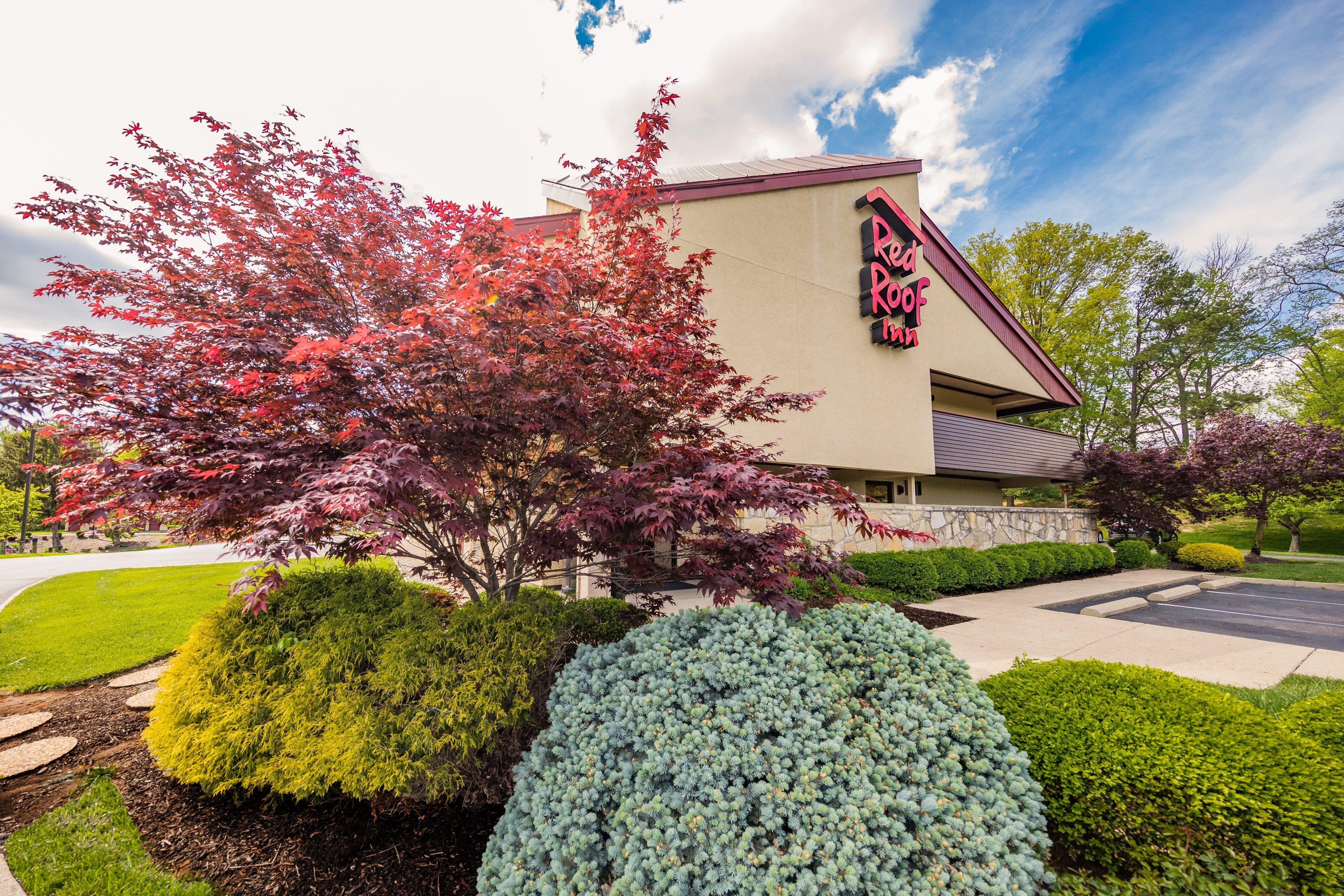 Red Roof Inn Cincinnati Northeast - Блу Аш Экстерьер фото