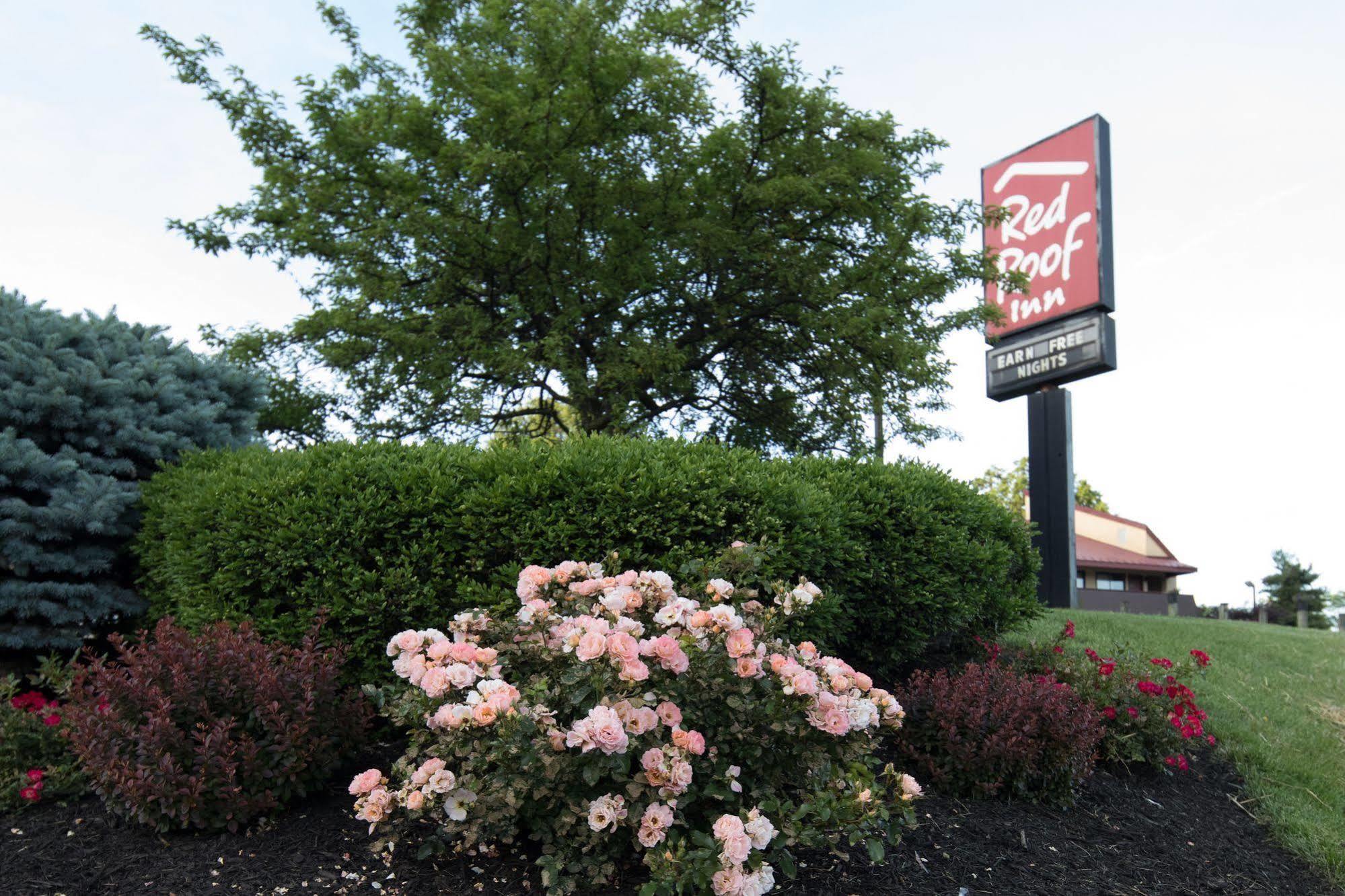 Red Roof Inn Cincinnati Northeast - Блу Аш Экстерьер фото